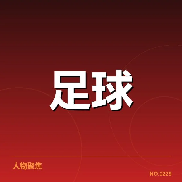 已确认的财政关键数据与收入结构